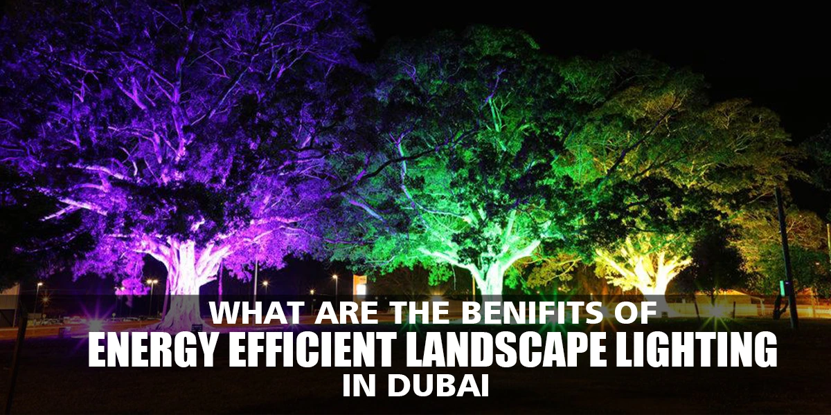 What Are the Benefits of Energy-efficient Landscape Lighting in Dubai?