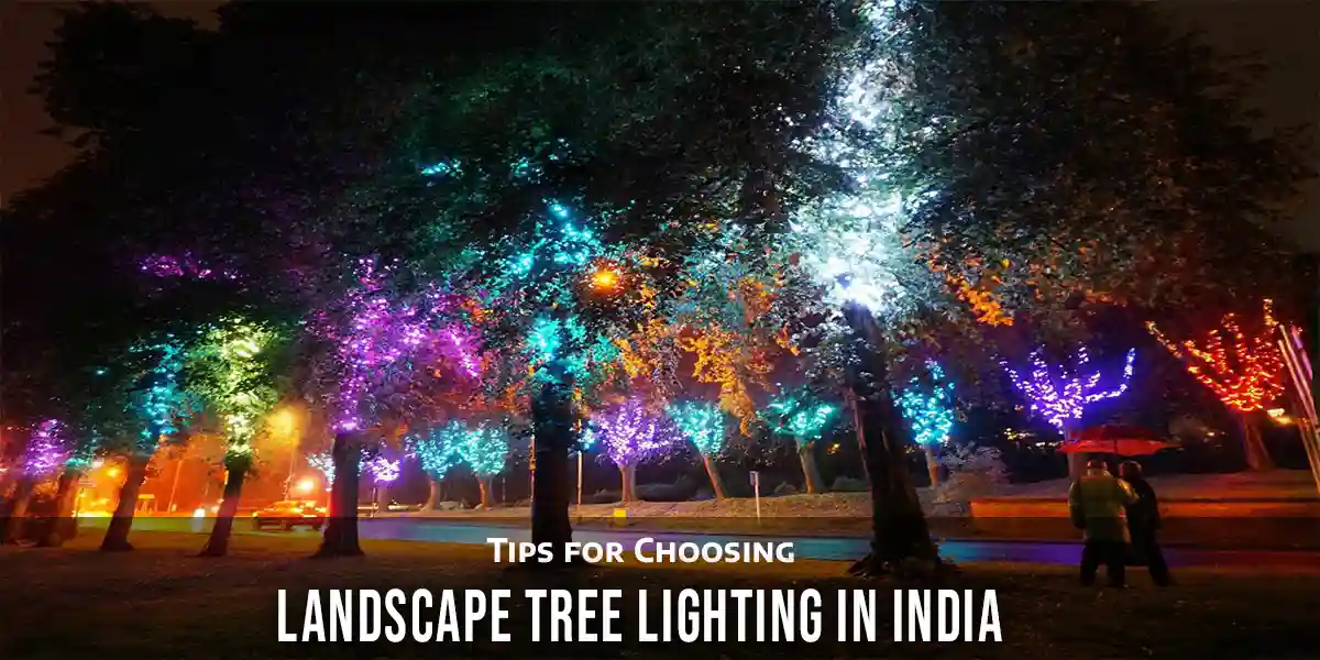Tips for Choosing Landscape Tree Lighting in India