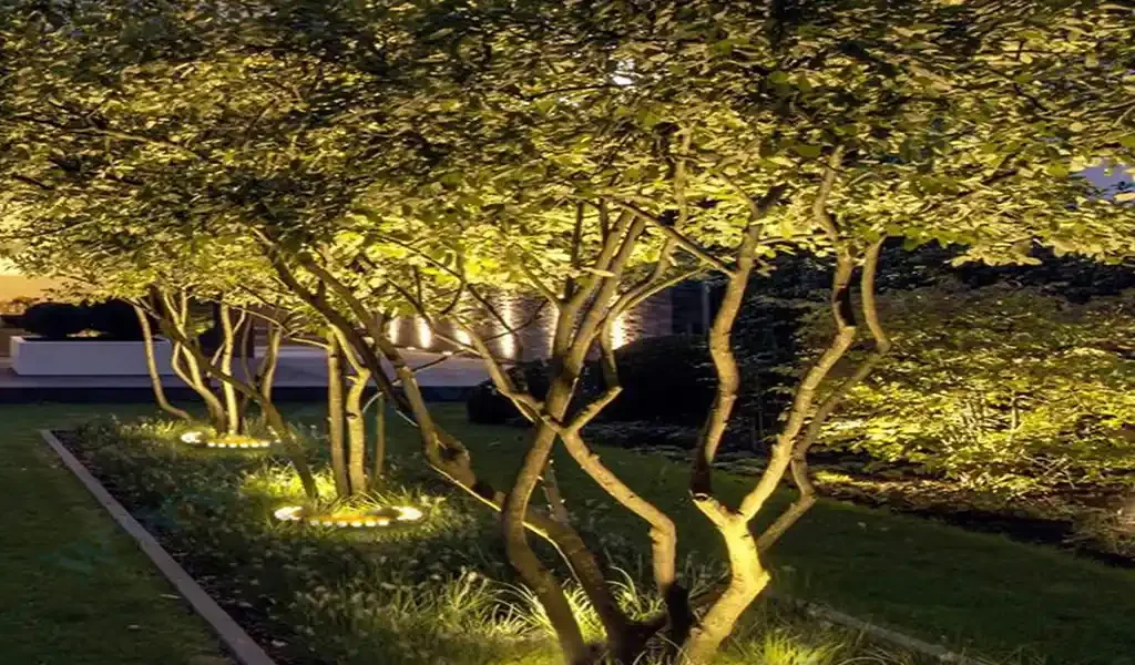 landscape tree lightings india